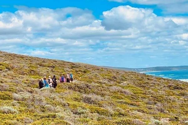 Surfpoint Resort (Margaret River)